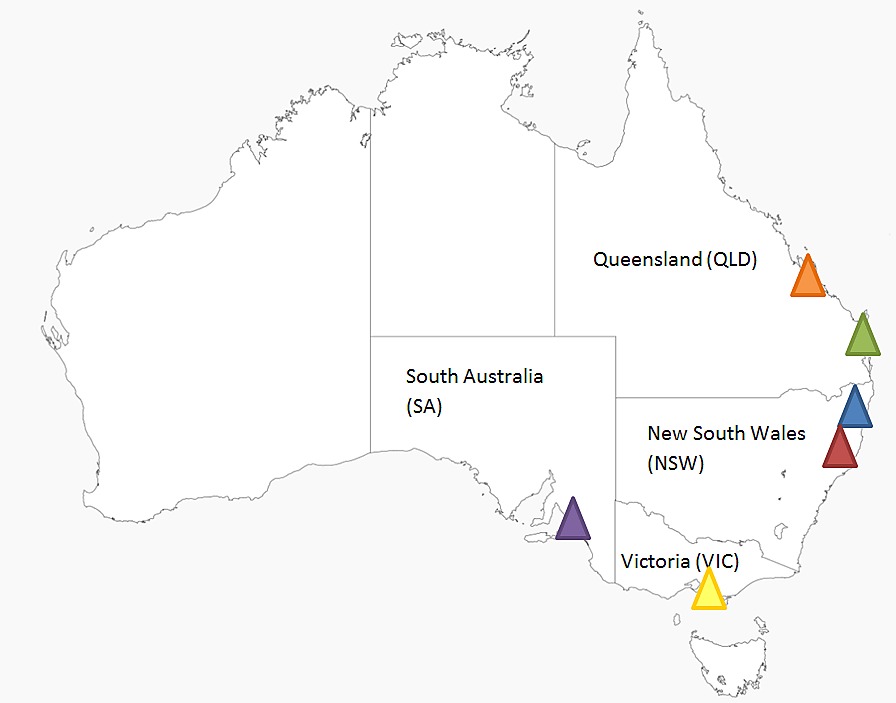 Australian Leptospermum Honey