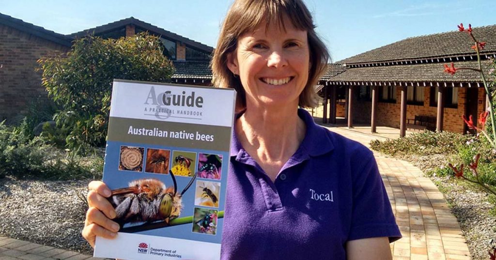 Australian Native Bees Guide now available