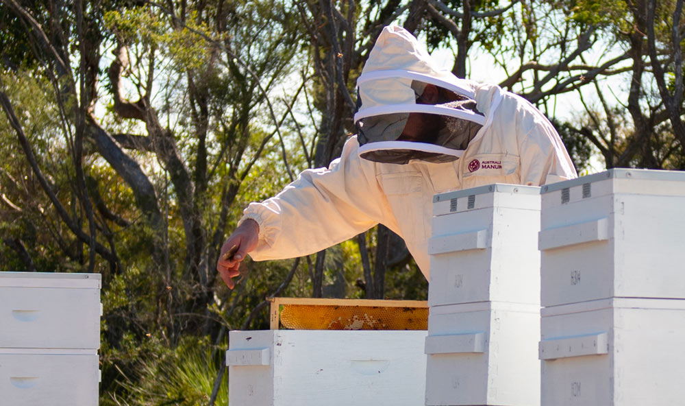 Beekeepers Tyagarah Apiaries near Byron Bay