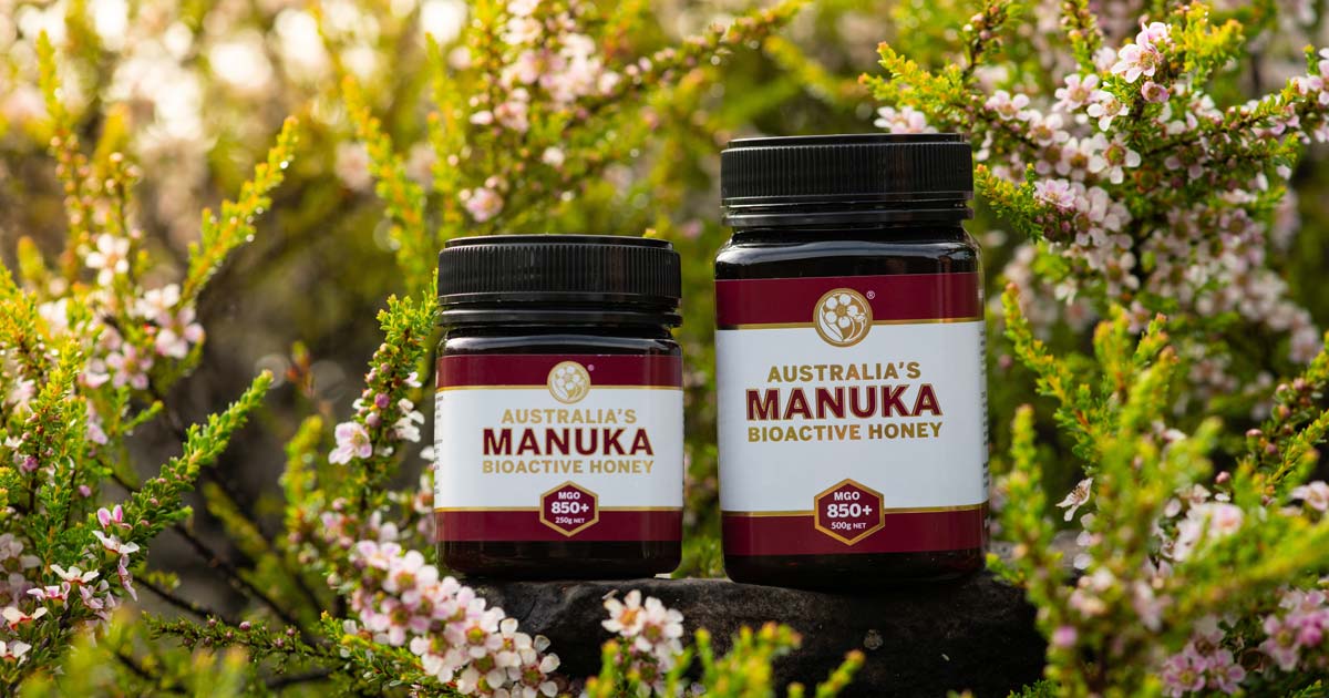 Medical Grade Honey Benefits Australia's Manuka Honey