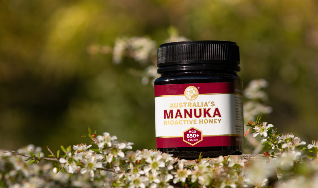 manuka honey 850 MGO