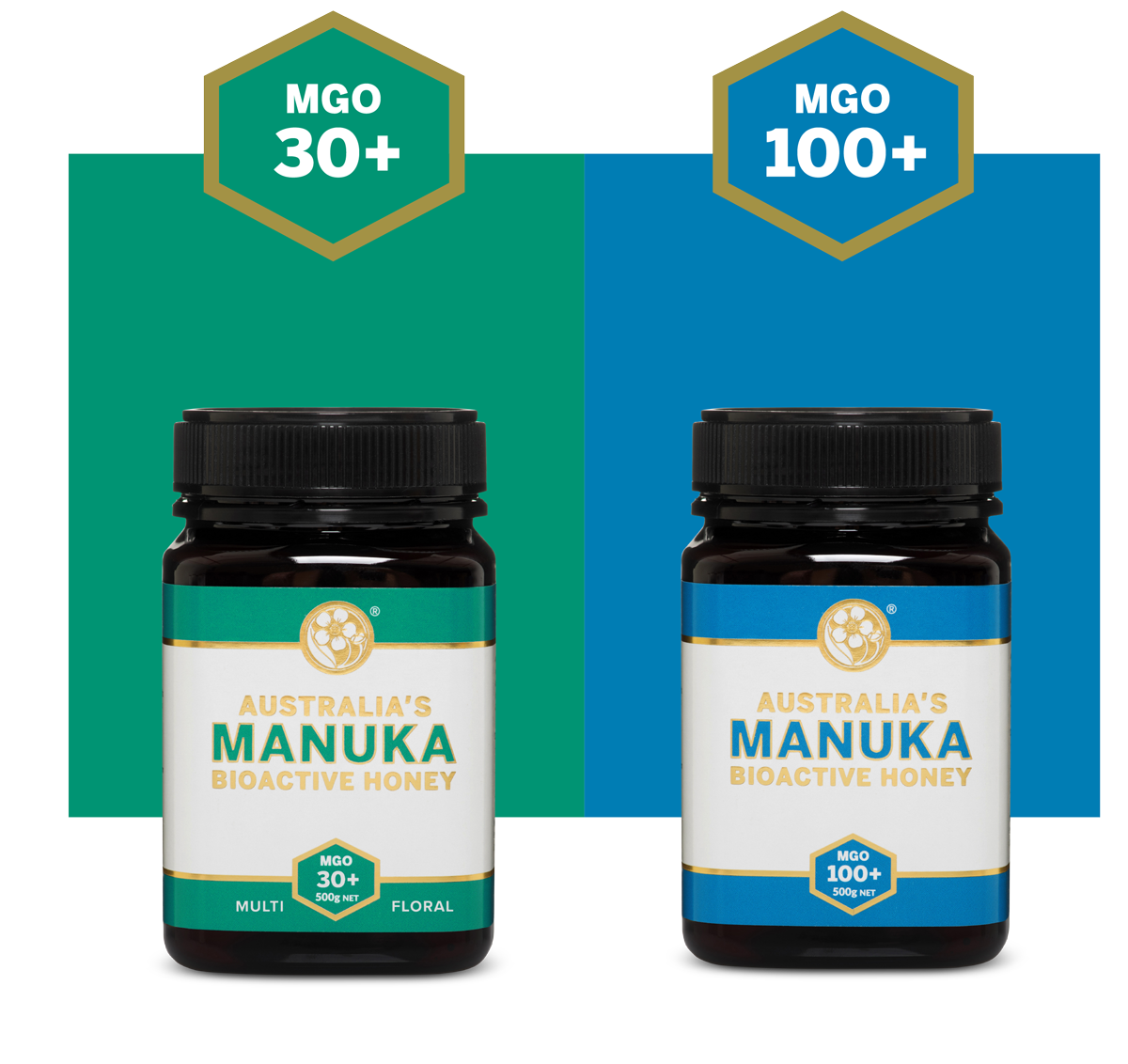 MANUKA SHOP CATEGORY EVERYDAY HEALTHY HONEY