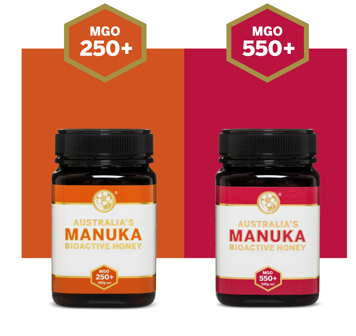 MANUKA SHOP CATEGORY MEDICINAL HONEYpng