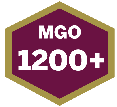 MGO 1200