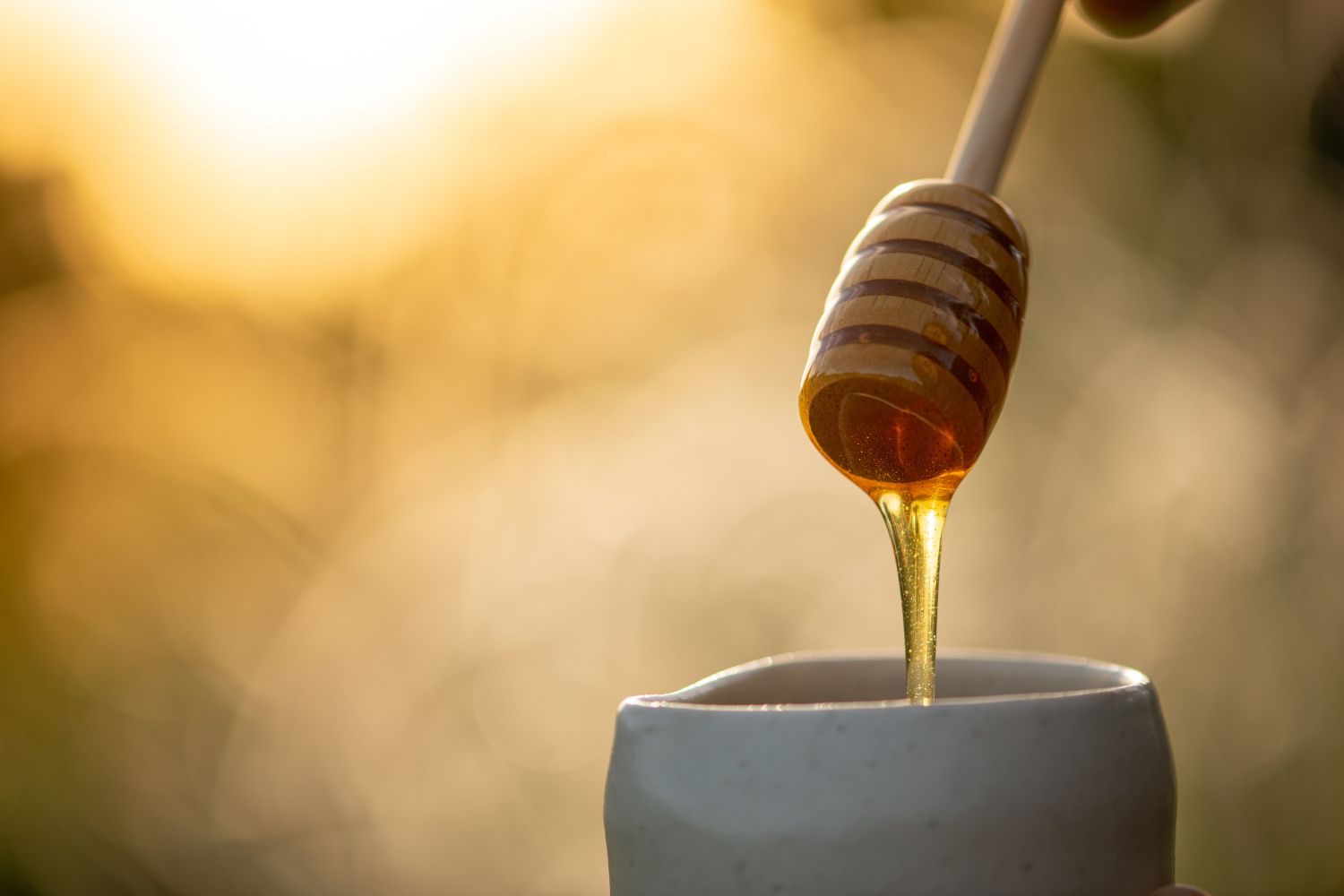 manuka honey drip