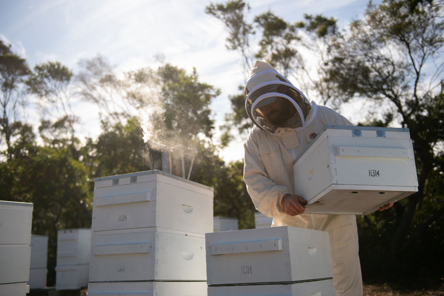 manuka beekeeper