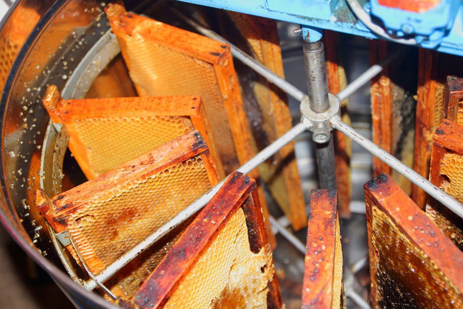 honey extraction small